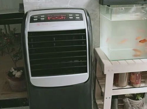 誰買誰后悔的6個家電,放在家里吃灰又占地方,送親戚朋友都不要