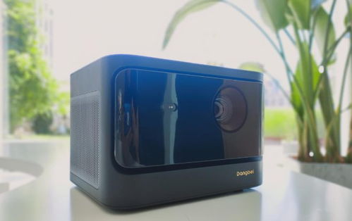 新興家電品類推薦 適配多場景家庭應用